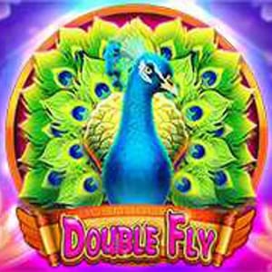 Double Fly