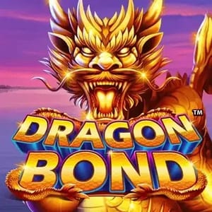 Dragon Bond