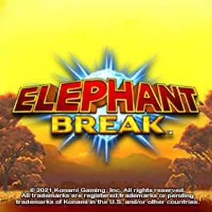 Elephant Break