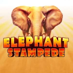 Elephant Stampede