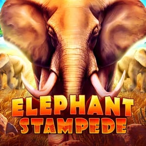 Elephant Stampede SE 97