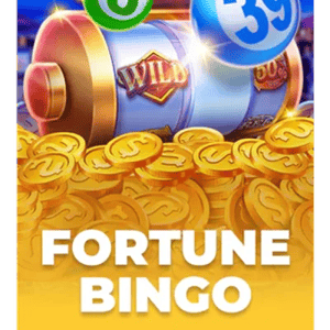 Fortune Bingo