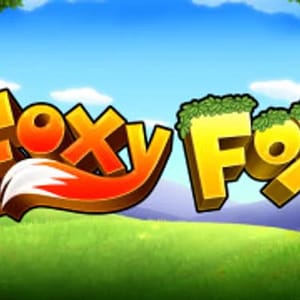 Foxy Fox