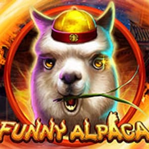 Funny Alpaca
