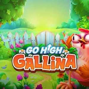 Go High Gallina 96