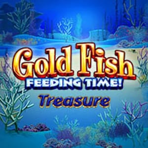 Goldfish Feeding Time