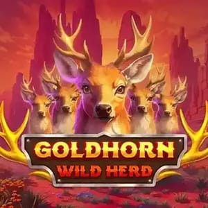 Goldhorn Wild Herd