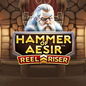 Hammer Of Aesir