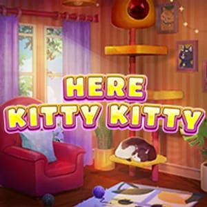 Here Kitty Kitty