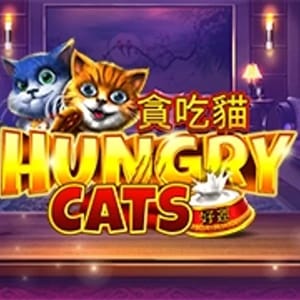 Hungry Cats