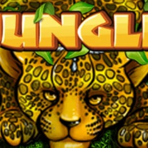 Jungle
