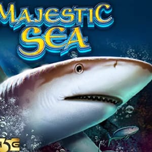 Majestic Sea