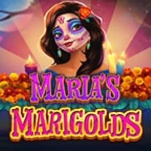 Maria’s Marigolds