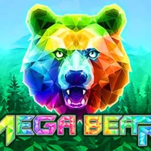Mega Bear NO PJP