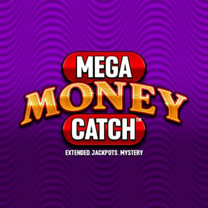 Mega Money Catch
