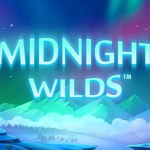 Midnight Wild™
