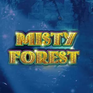 Misty Forest