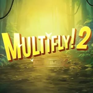 Multifly! 2