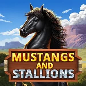 Mustangs and Stallions