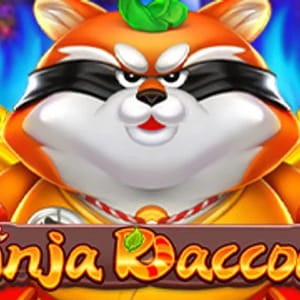 Ninja Raccoon