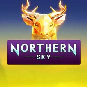Northern Sky