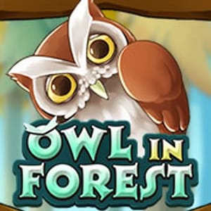 Owl In Forest