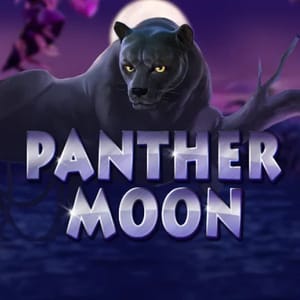 Panther Moon