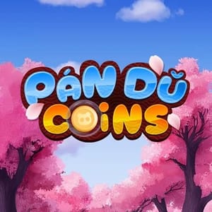 Pan Du Coins