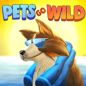 Pets go Wild