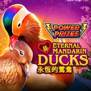 Power Prizes - Eternal Mandarin Ducks