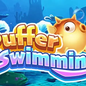 Puffer Swimming