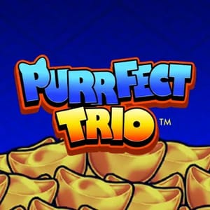 Purrfect Trio