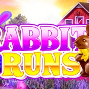 Rabbit Runs