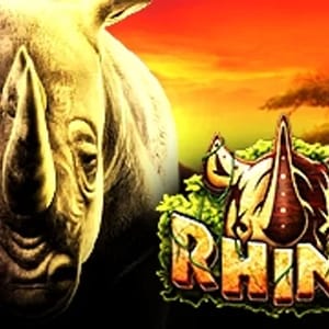 Rhino