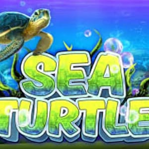 Sea Turtle