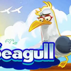 Seagull