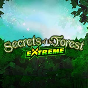 Secrets of the Forest Extreme