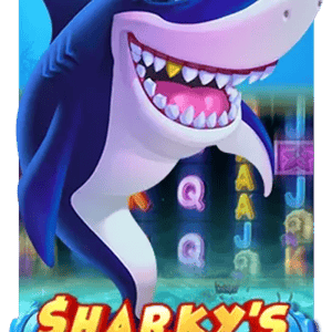 Sharky’s Choices