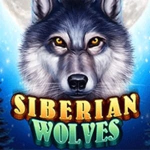 Siberian Wolves