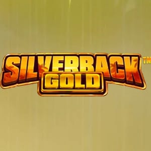 Silver Back Gold with Buy Feature