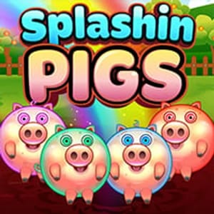Splashin Pigs