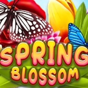 Spring Blossom