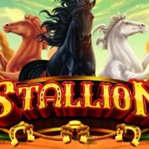 Stallion