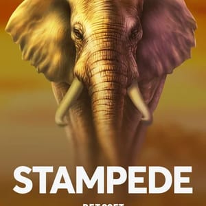 Stampede