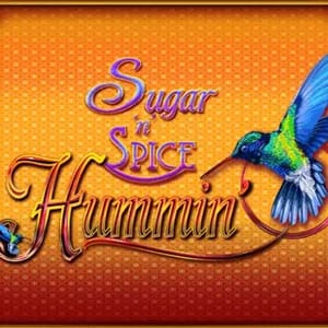 Sugar N Spice Hummin