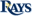 Tampa Bay Rays team logo