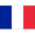 France team logo