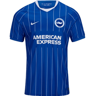 Brighton & Hove Albion kit