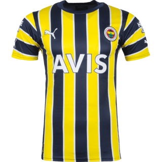 Fenerbahçe kit