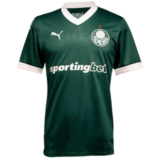 Palmeiras kit